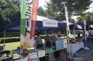 ワークショップ