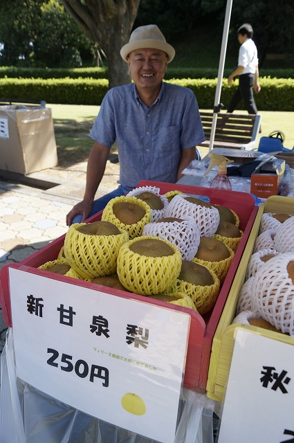 ワークショップ