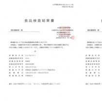 フライヤーちらし