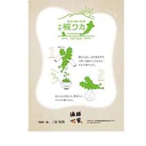 フライヤーちらし