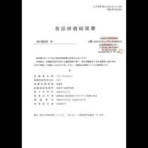 フライヤーちらし