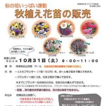 フライヤーちらし