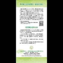 フライヤーちらし