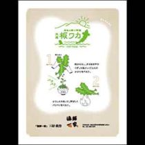 フライヤーちらし