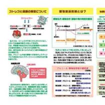 フライヤーちらし