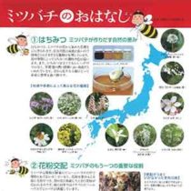 フライヤーちらし