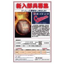 フライヤーちらし