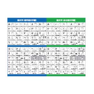 フライヤーチラシ