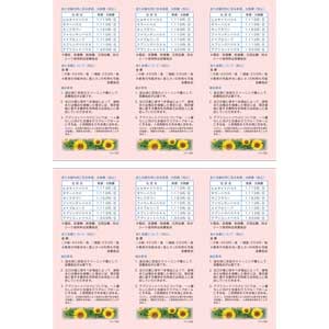 フライヤーチラシ