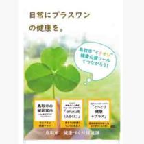 フライヤーチラシ