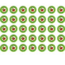 フライヤーチラシ