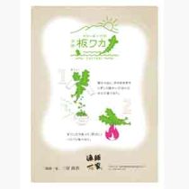 フライヤーチラシ