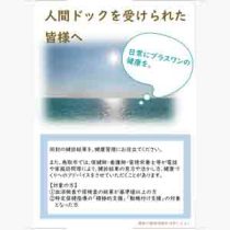 フライヤーチラシ